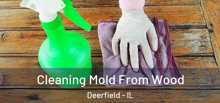 Cleaning Mold From Wood Deerfield - IL