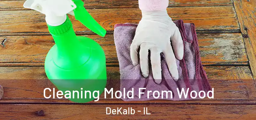 Cleaning Mold From Wood DeKalb - IL