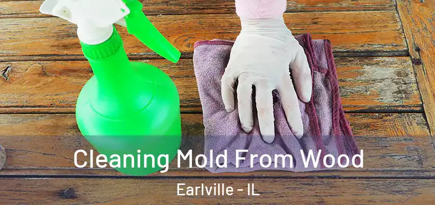 Cleaning Mold From Wood Earlville - IL