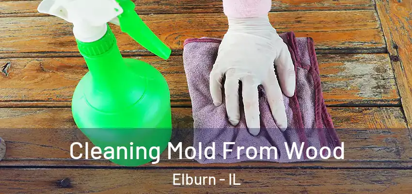  Cleaning Mold From Wood Elburn - IL
