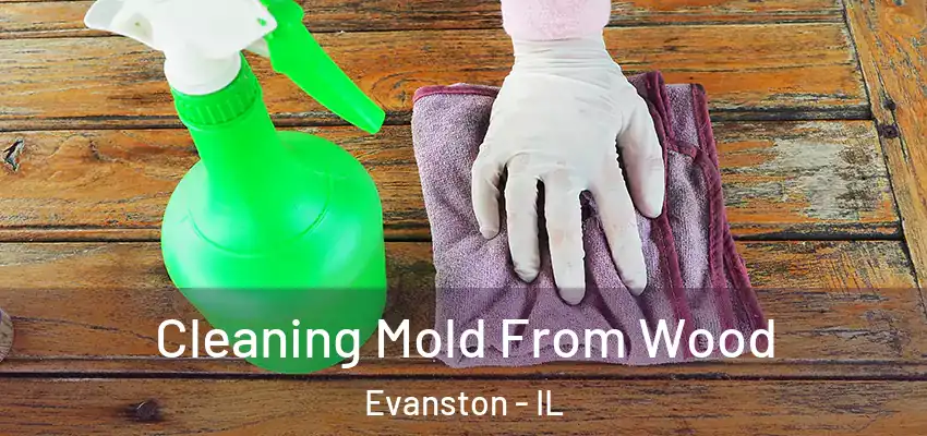 Cleaning Mold From Wood Evanston - IL