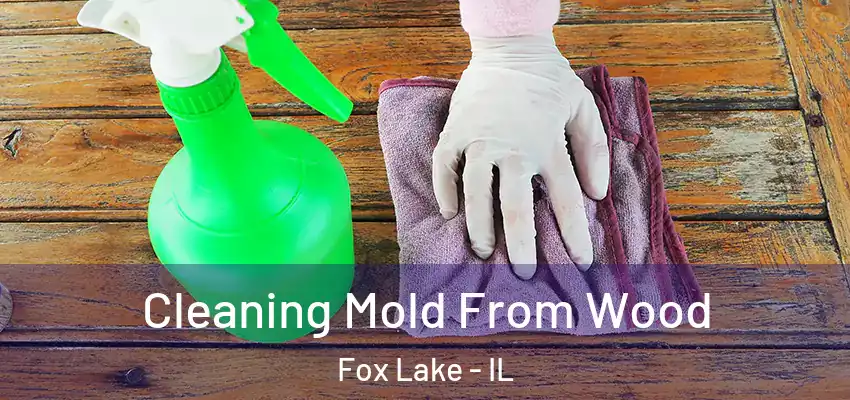  Cleaning Mold From Wood Fox Lake - IL