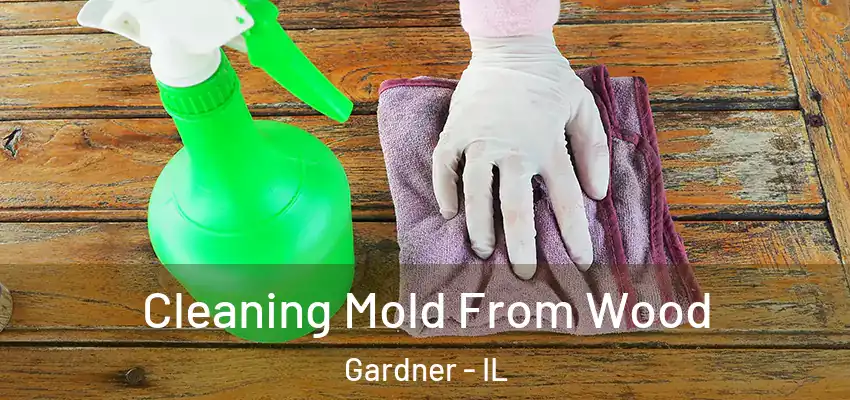  Cleaning Mold From Wood Gardner - IL