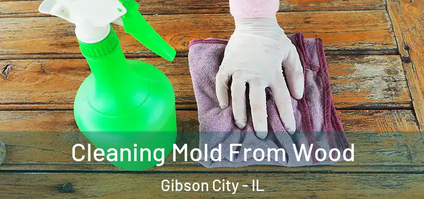 Cleaning Mold From Wood Gibson City - IL