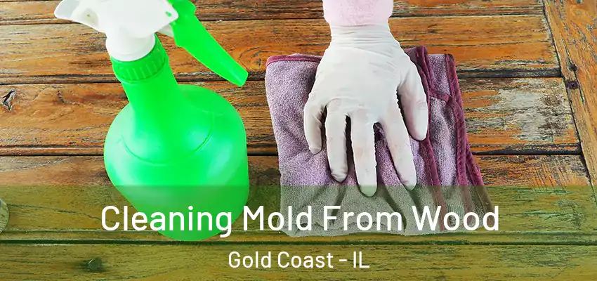 Cleaning Mold From Wood Gold Coast - IL