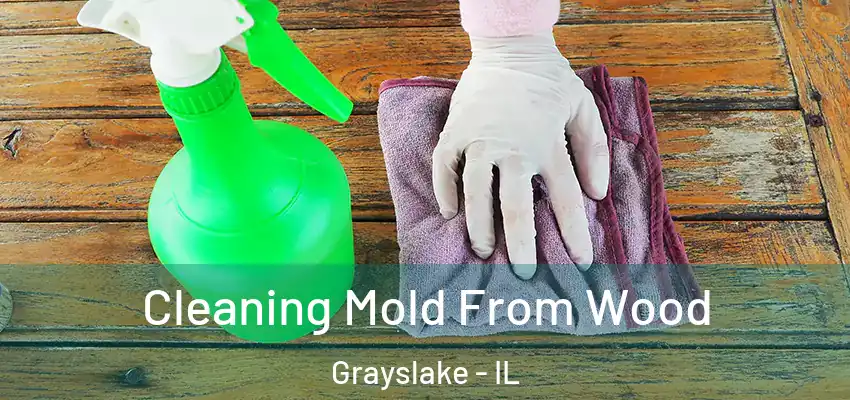 Cleaning Mold From Wood Grayslake - IL