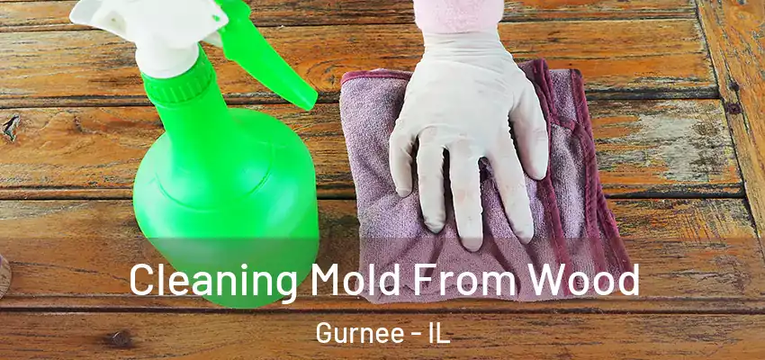 Cleaning Mold From Wood Gurnee - IL