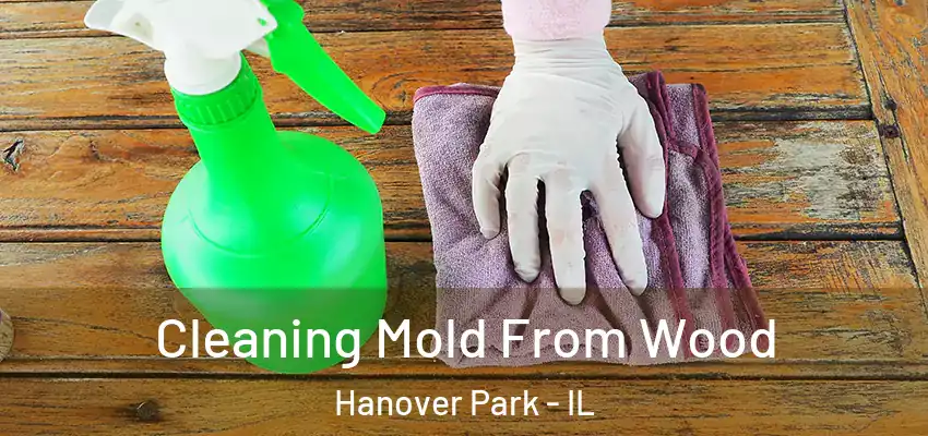  Cleaning Mold From Wood Hanover Park - IL