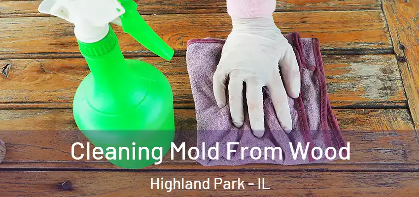 Cleaning Mold From Wood Highland Park - IL