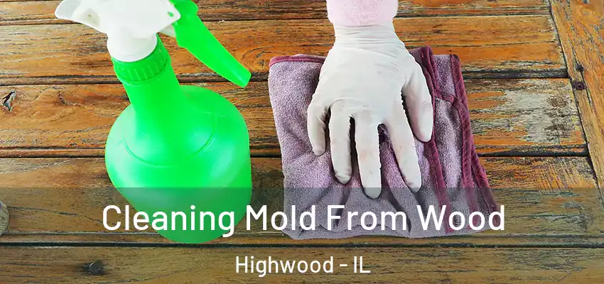  Cleaning Mold From Wood Highwood - IL