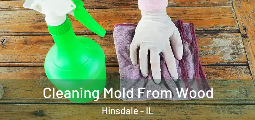 Cleaning Mold From Wood Hinsdale - IL