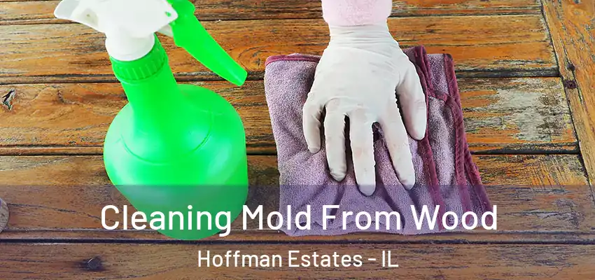 Cleaning Mold From Wood Hoffman Estates - IL
