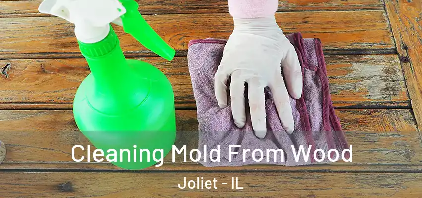  Cleaning Mold From Wood Joliet - IL