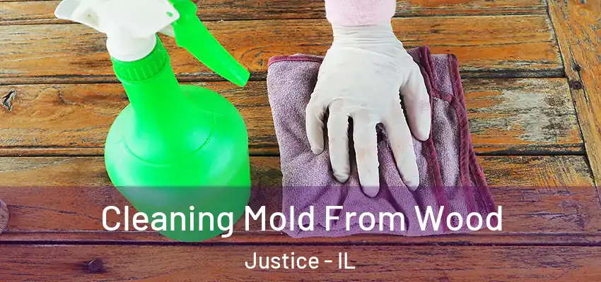 Cleaning Mold From Wood Justice - IL