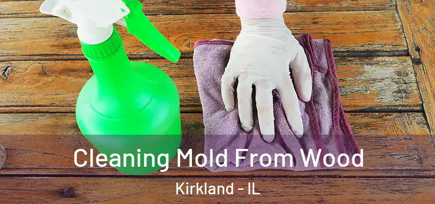  Cleaning Mold From Wood Kirkland - IL
