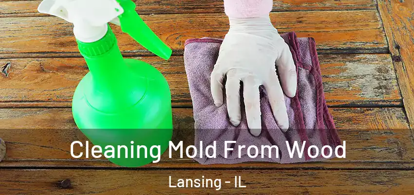Cleaning Mold From Wood Lansing - IL