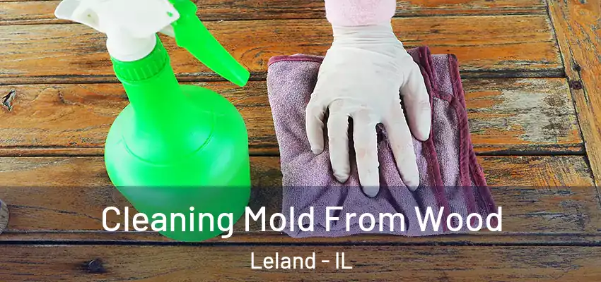  Cleaning Mold From Wood Leland - IL