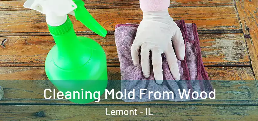 Cleaning Mold From Wood Lemont - IL