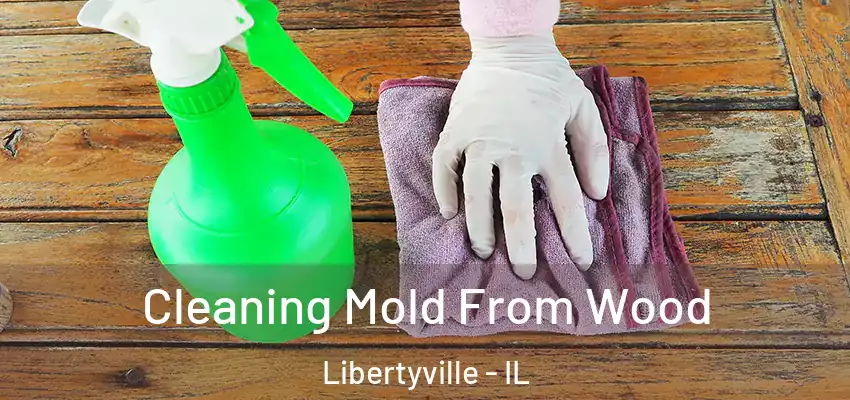 Cleaning Mold From Wood Libertyville - IL