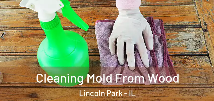 Cleaning Mold From Wood Lincoln Park - IL