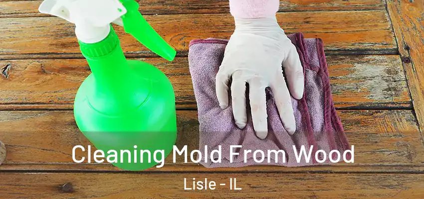  Cleaning Mold From Wood Lisle - IL