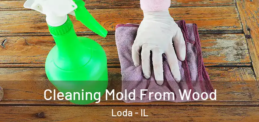 Cleaning Mold From Wood Loda - IL