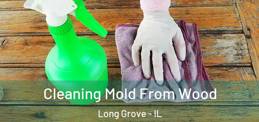 Cleaning Mold From Wood Long Grove - IL
