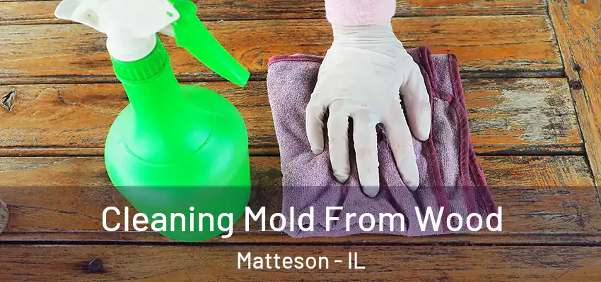 Cleaning Mold From Wood Matteson - IL