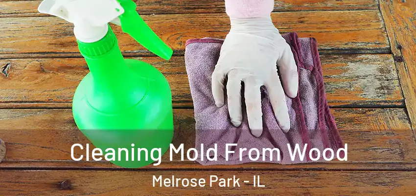  Cleaning Mold From Wood Melrose Park - IL