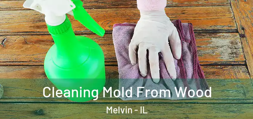 Cleaning Mold From Wood Melvin - IL