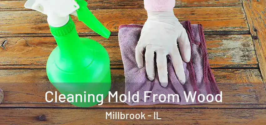Cleaning Mold From Wood Millbrook - IL