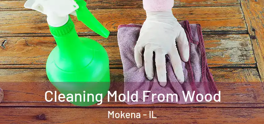Cleaning Mold From Wood Mokena - IL