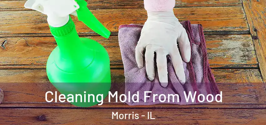  Cleaning Mold From Wood Morris - IL