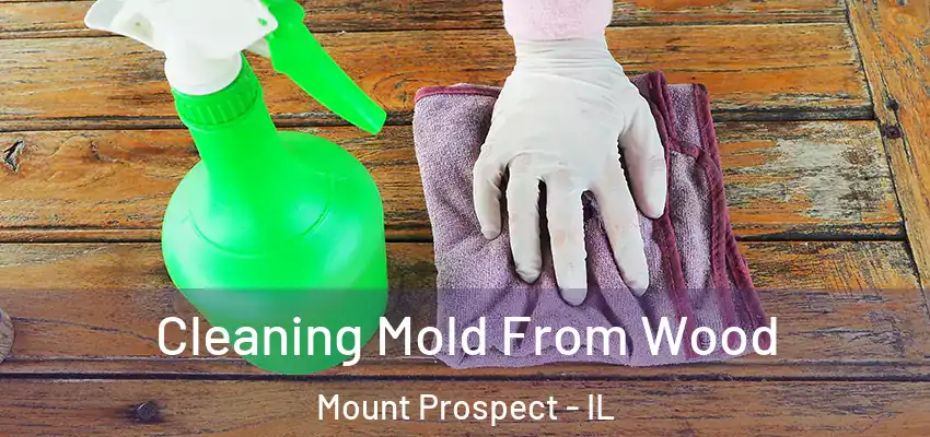  Cleaning Mold From Wood Mount Prospect - IL