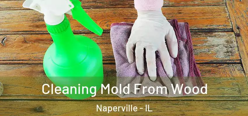 Cleaning Mold From Wood Naperville - IL