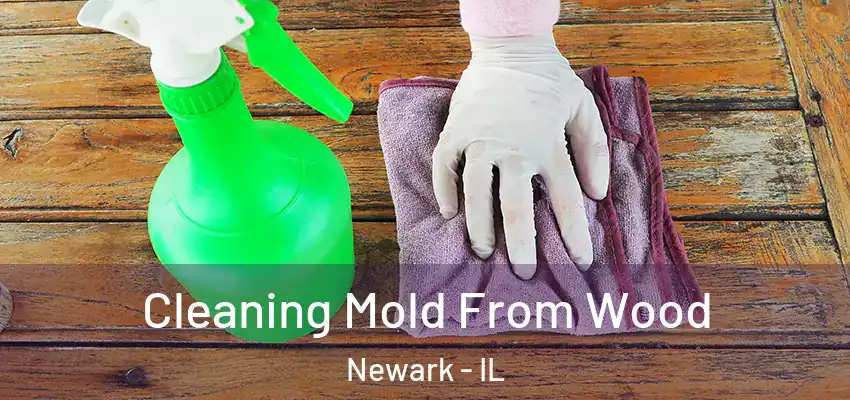 Cleaning Mold From Wood Newark - IL