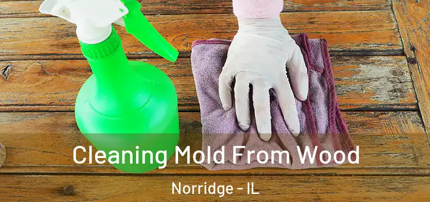 Cleaning Mold From Wood Norridge - IL