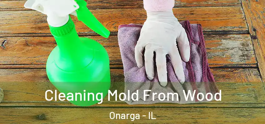  Cleaning Mold From Wood Onarga - IL