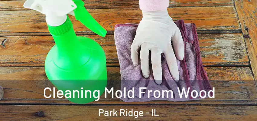  Cleaning Mold From Wood Park Ridge - IL