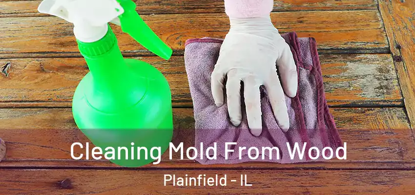 Cleaning Mold From Wood Plainfield - IL