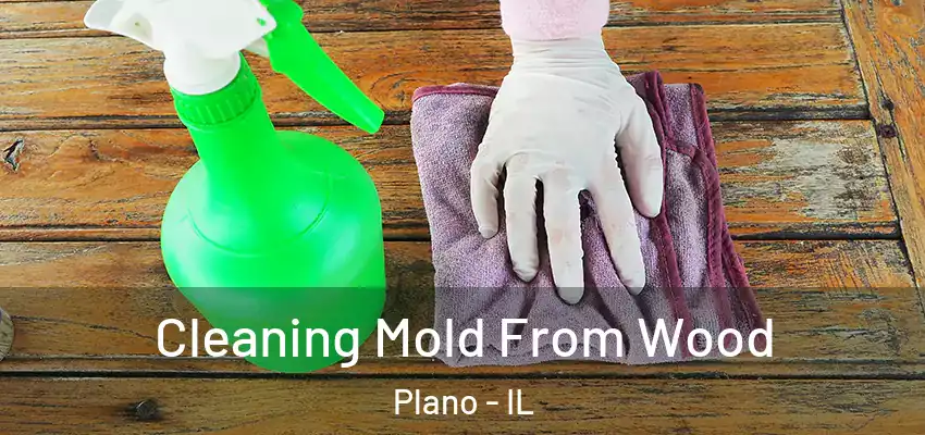  Cleaning Mold From Wood Plano - IL