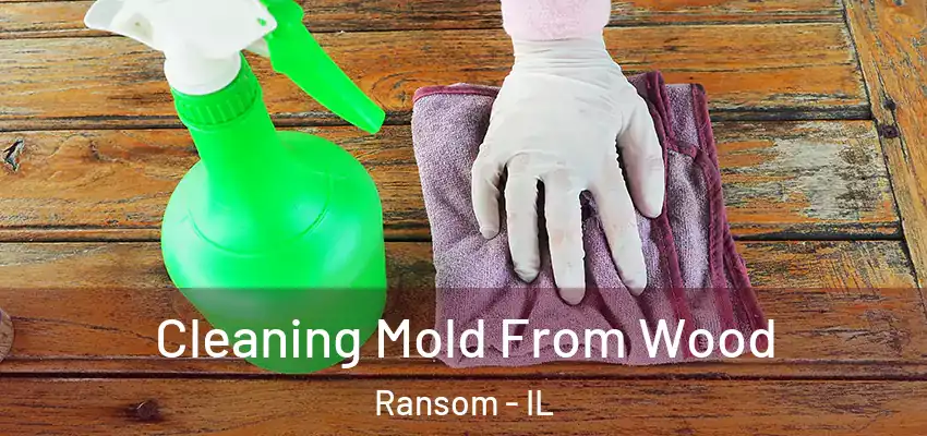 Cleaning Mold From Wood Ransom - IL