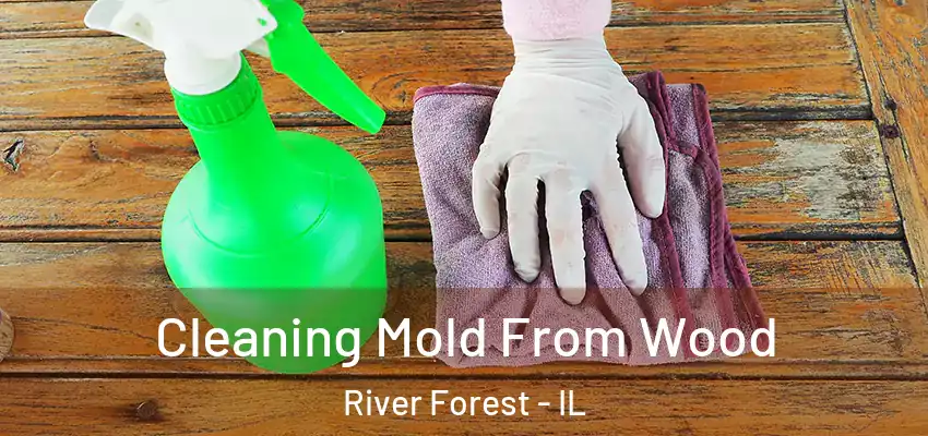  Cleaning Mold From Wood River Forest - IL