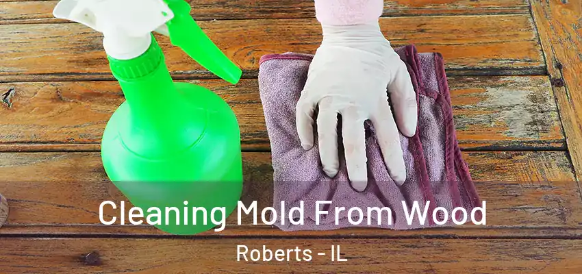 Cleaning Mold From Wood Roberts - IL