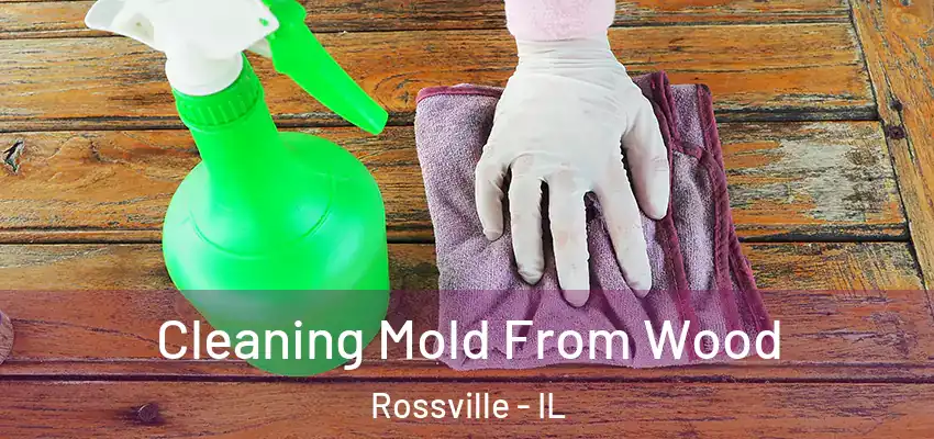  Cleaning Mold From Wood Rossville - IL