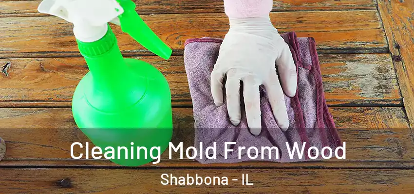  Cleaning Mold From Wood Shabbona - IL
