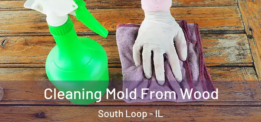 Cleaning Mold From Wood South Loop - IL