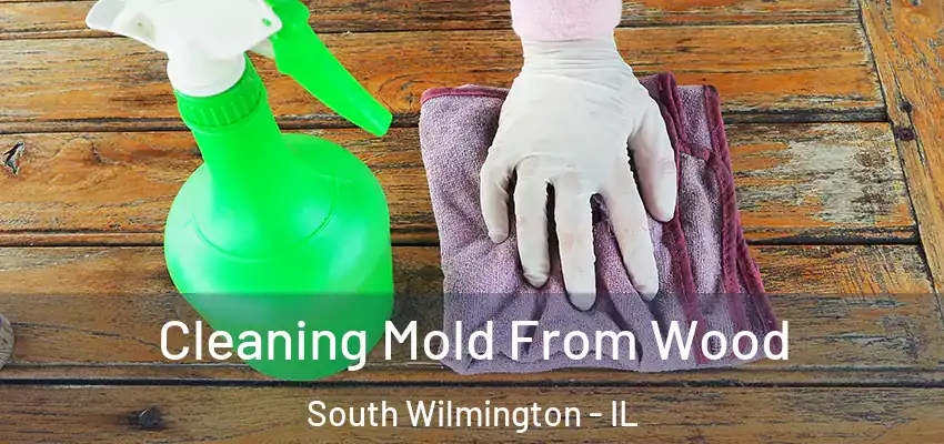 Cleaning Mold From Wood South Wilmington - IL