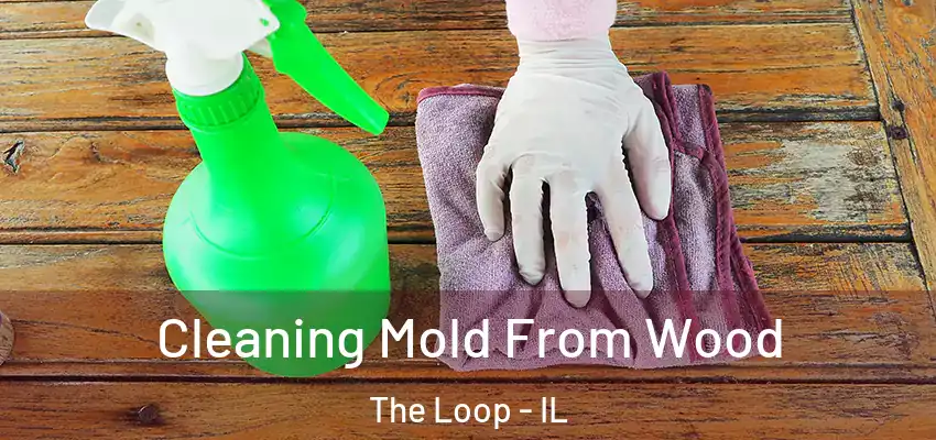 Cleaning Mold From Wood The Loop - IL