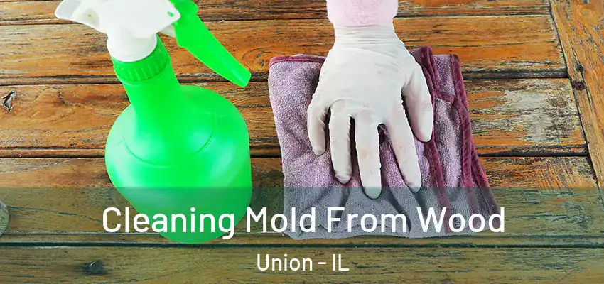 Cleaning Mold From Wood Union - IL
